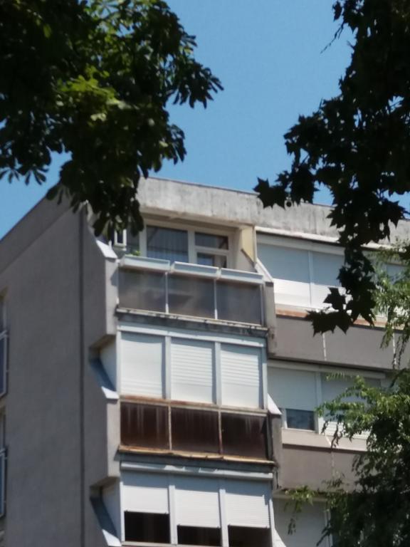 Malnas Macska Apartman Szekszárd 外观 照片